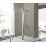 Kabina prysznicowa walk-in 140x33.5 cm srebrny połysk/szkło przezroczyste 600540125038401 Sanplast Exa Line zdj.1