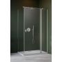 Drzwi prysznicowe 100 cm uchylne szczotkowany/szkło przezroczyste 100321009101R Radaway Nes Brushed Nickel KDJ II zdj.1