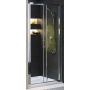 Drzwi prysznicowe 100 cm rozsuwane GDRS10222003 Koło Geo 6 zdj.1