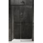 Drzwi prysznicowe 100 cm rozsuwane D0316A New Trendy Prime zdj.1