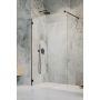 Ścianka prysznicowa 115 cm czarny mat/szkło przezroczyste 101031155401 Radaway Essenza Pro Black Walk-In zdj.1
