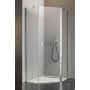 Drzwi prysznicowe 59.6 cm uchylne do ścianki bocznej 100520000101R Radaway Nes PTJ zdj.1