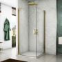 Drzwi prysznicowe 90 cm uchylne inne CA1CD0901207 SanSwiss Cadura zdj.3
